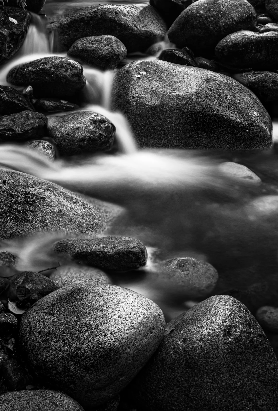 Englishman River Rocks