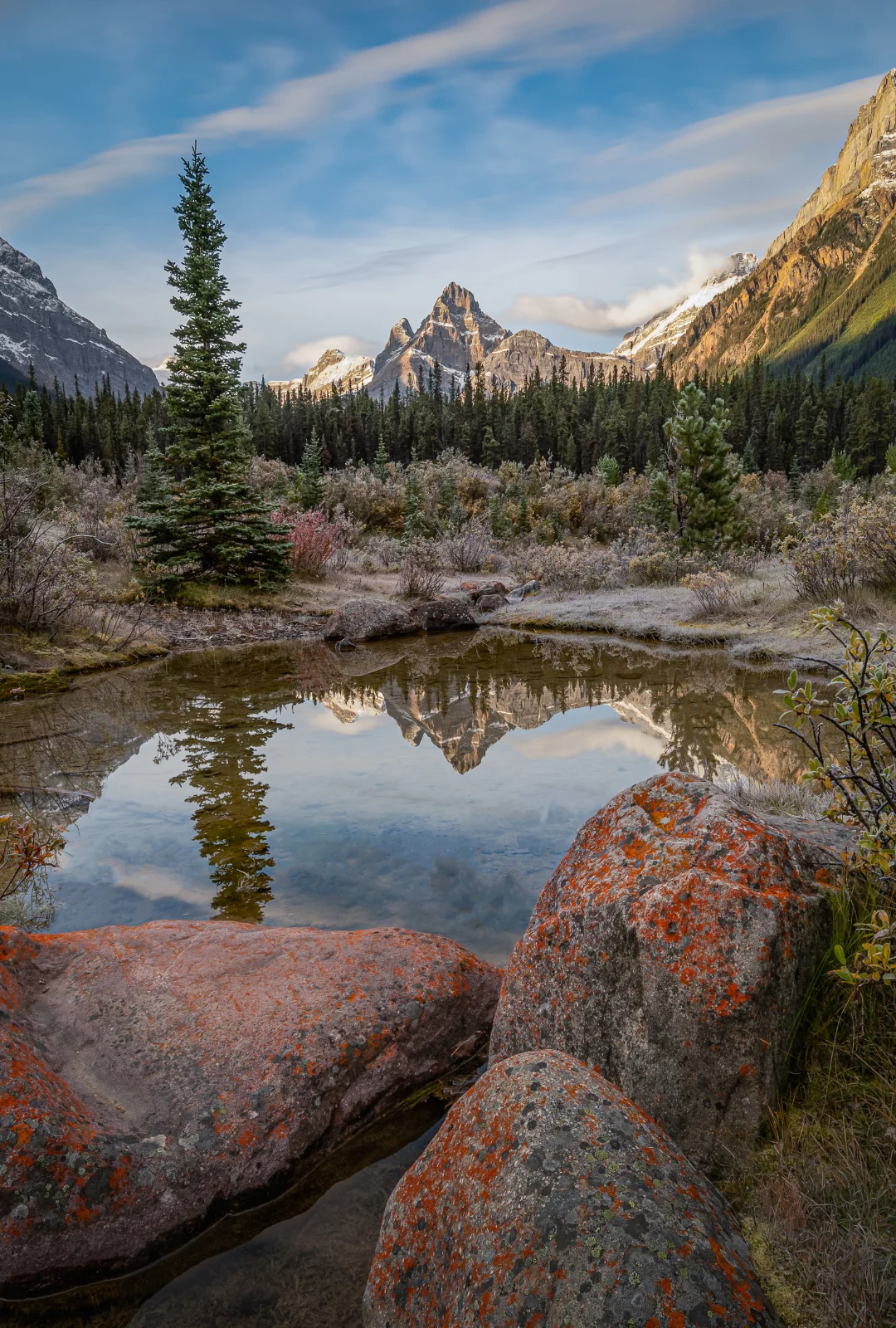 Frosty Silverhorn Creek