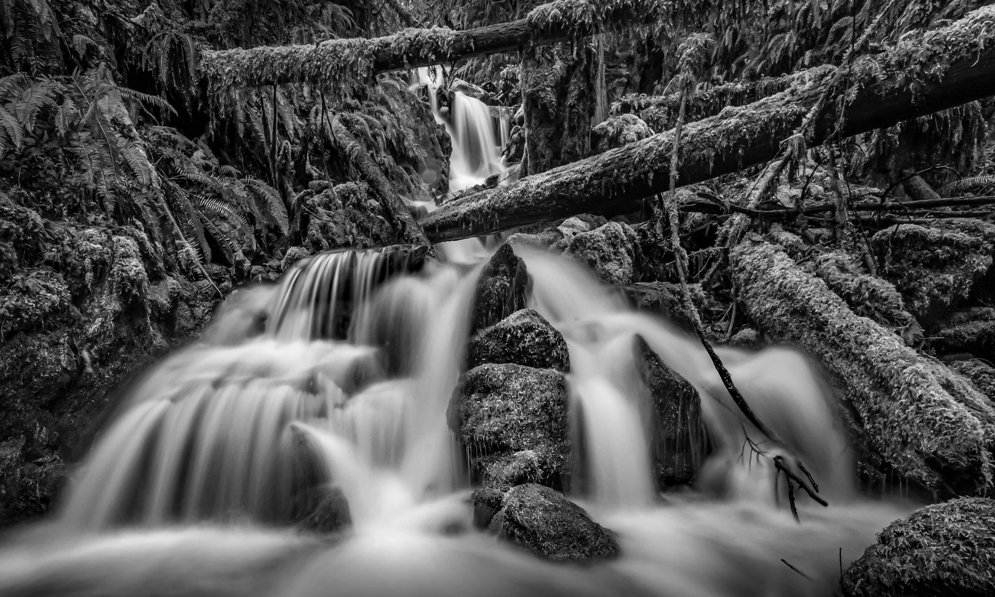 Goldstream Falls