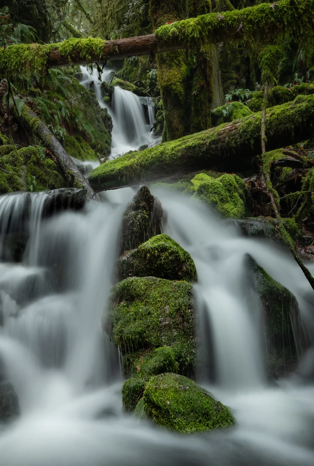 Goldstream Waterfall - vertical