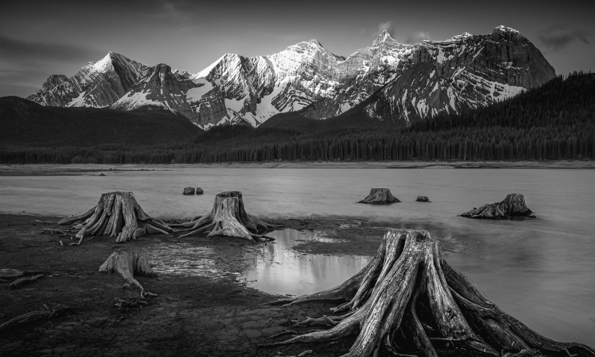 Interlakes Logs