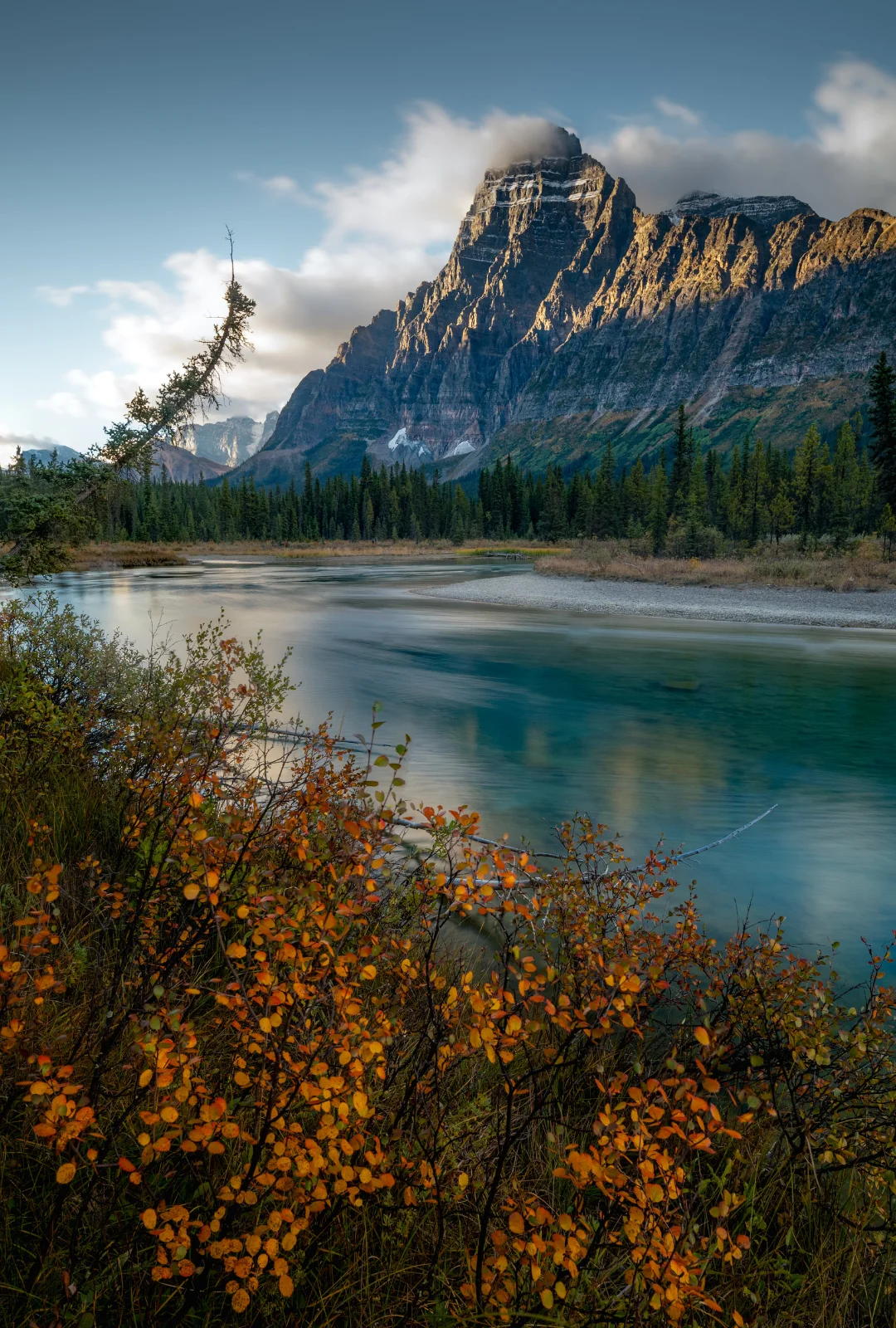 Mount Chephren Autumn