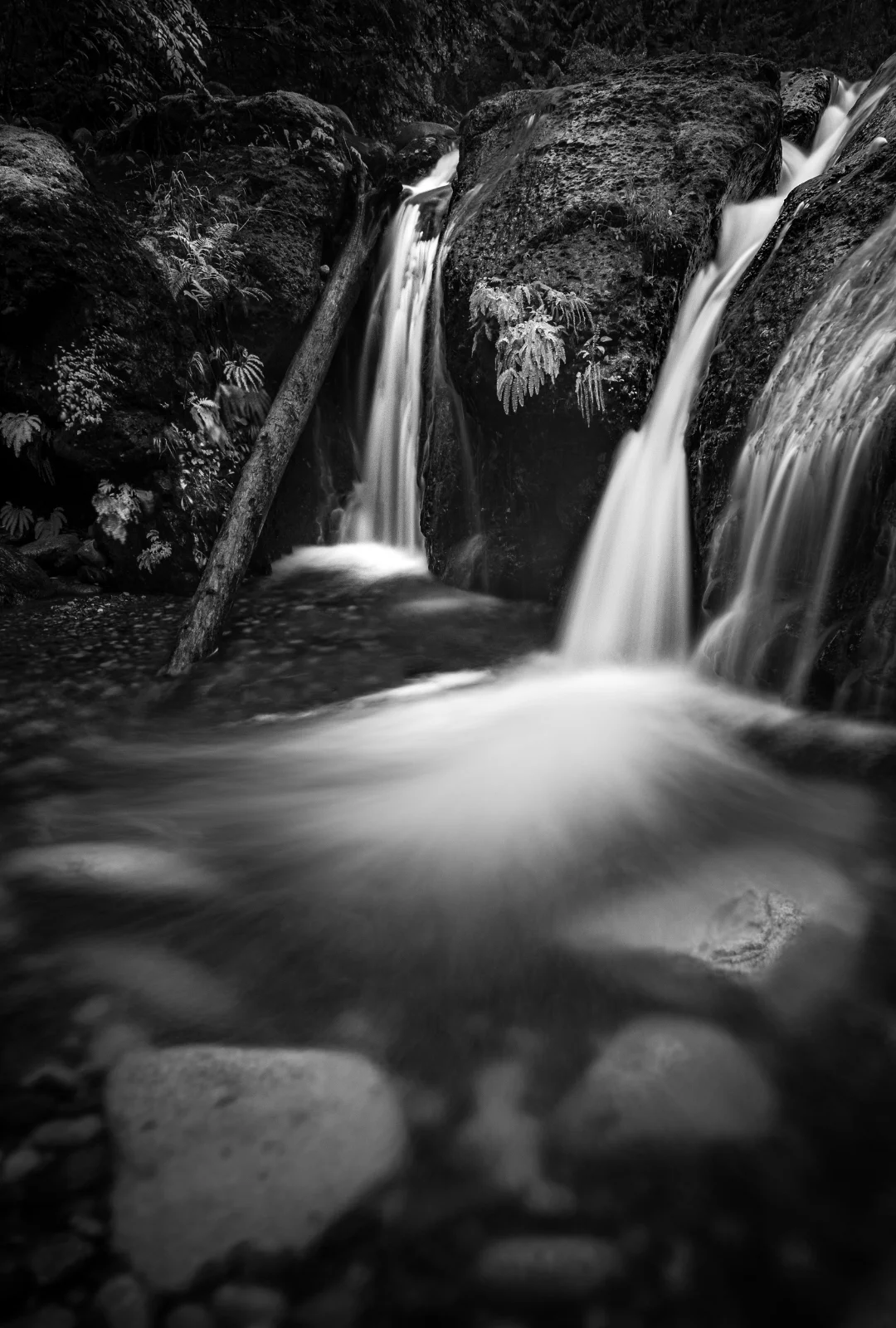 Upper Englishman River Falls