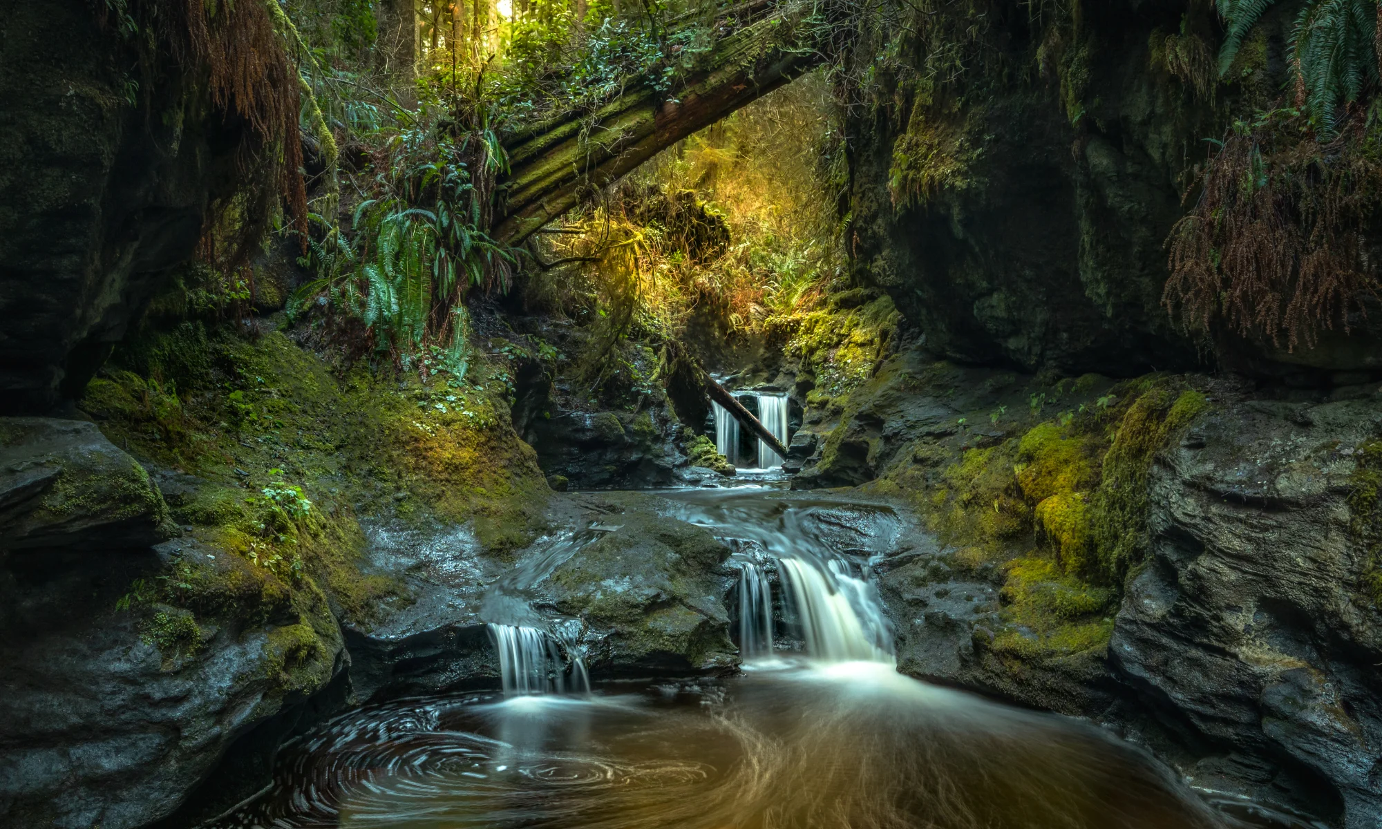 Vancouver Island - Sooke Potholes Falls