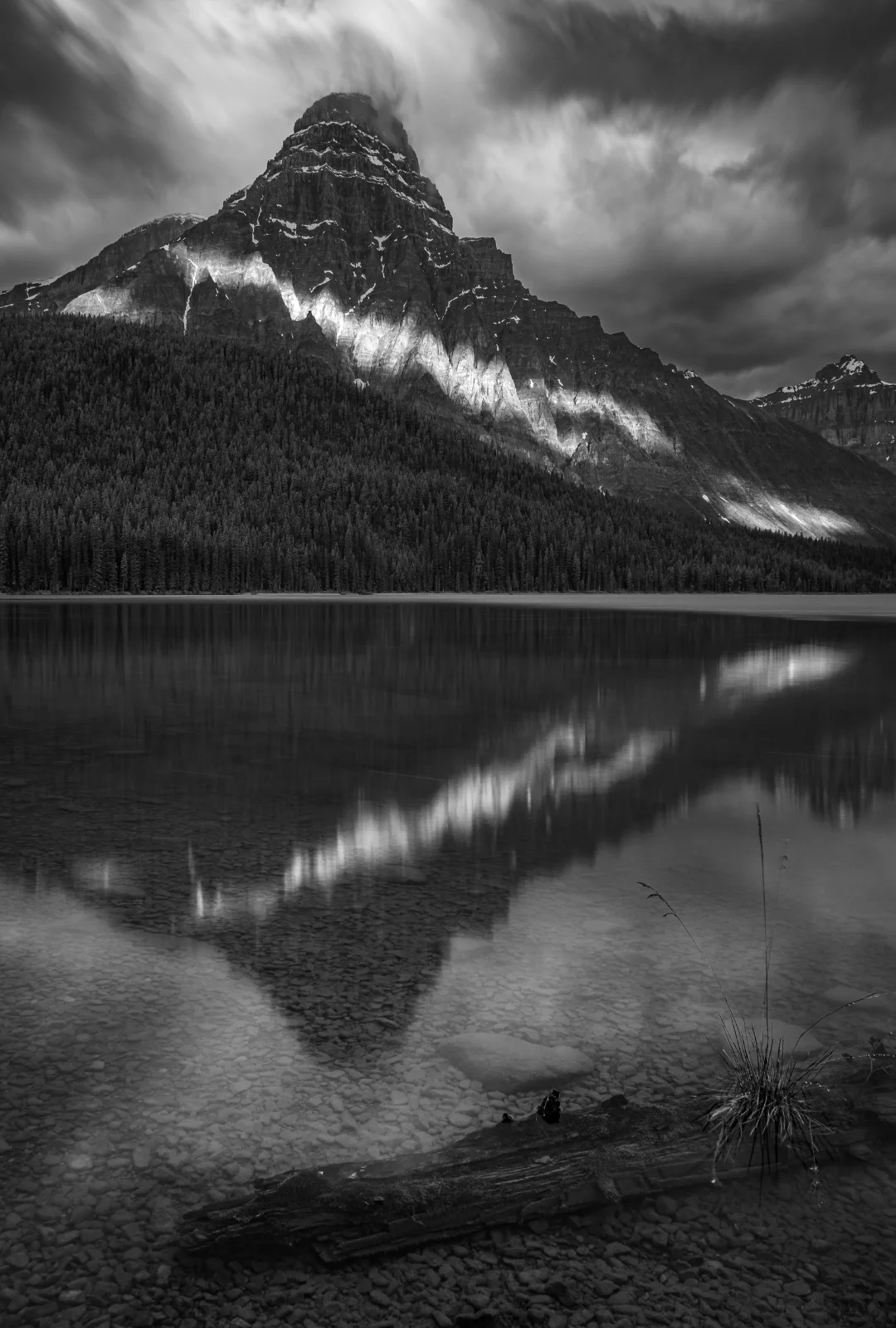 Waterfowl Lakes