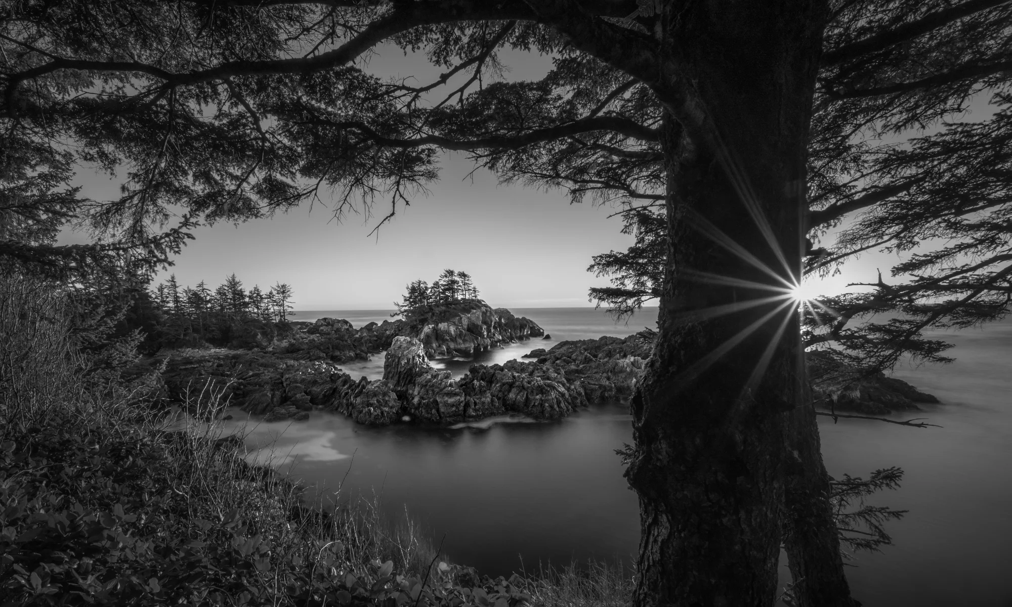 Wild Pacific Lookout - Ucluelet