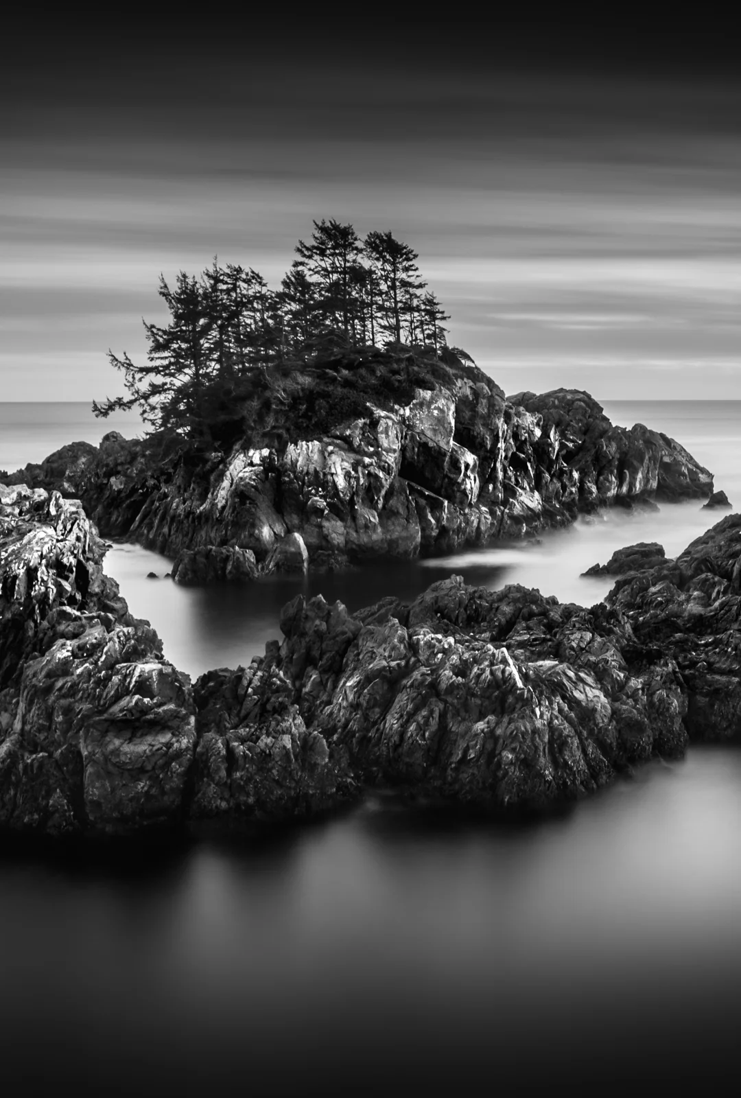 Wild Pacific Rocks
