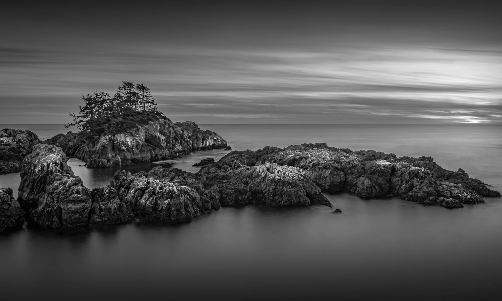 Wild Pacific - Ucluelet